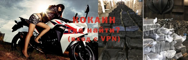 стафф Белокуриха
